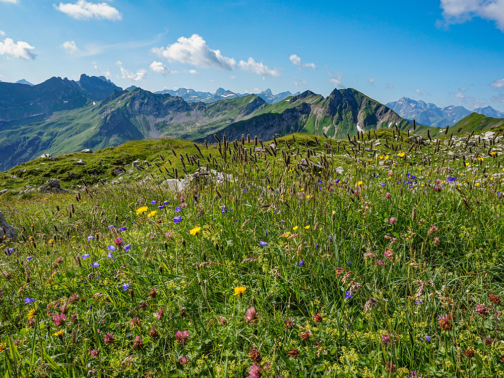 Frau Bergschön Engeratgundsee