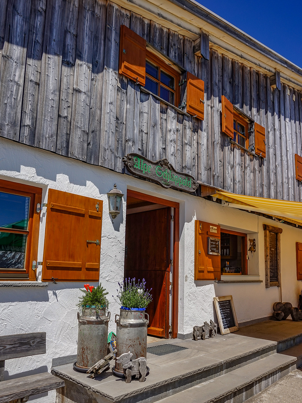 Fellhorn Bergschön Frau Oberstdorf