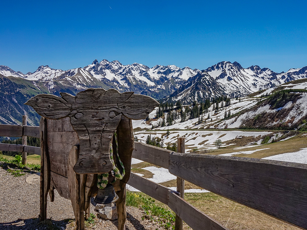 Fellhorn Bergschön Frau Oberstdorf