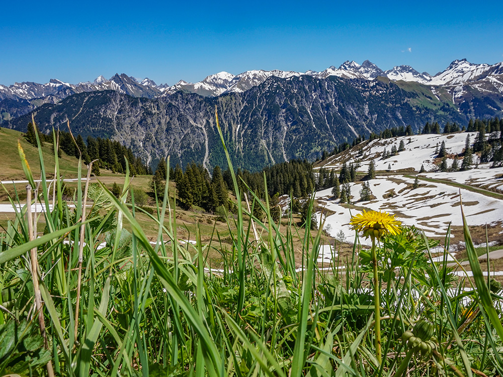 Fellhorn Bergschön Frau Oberstdorf