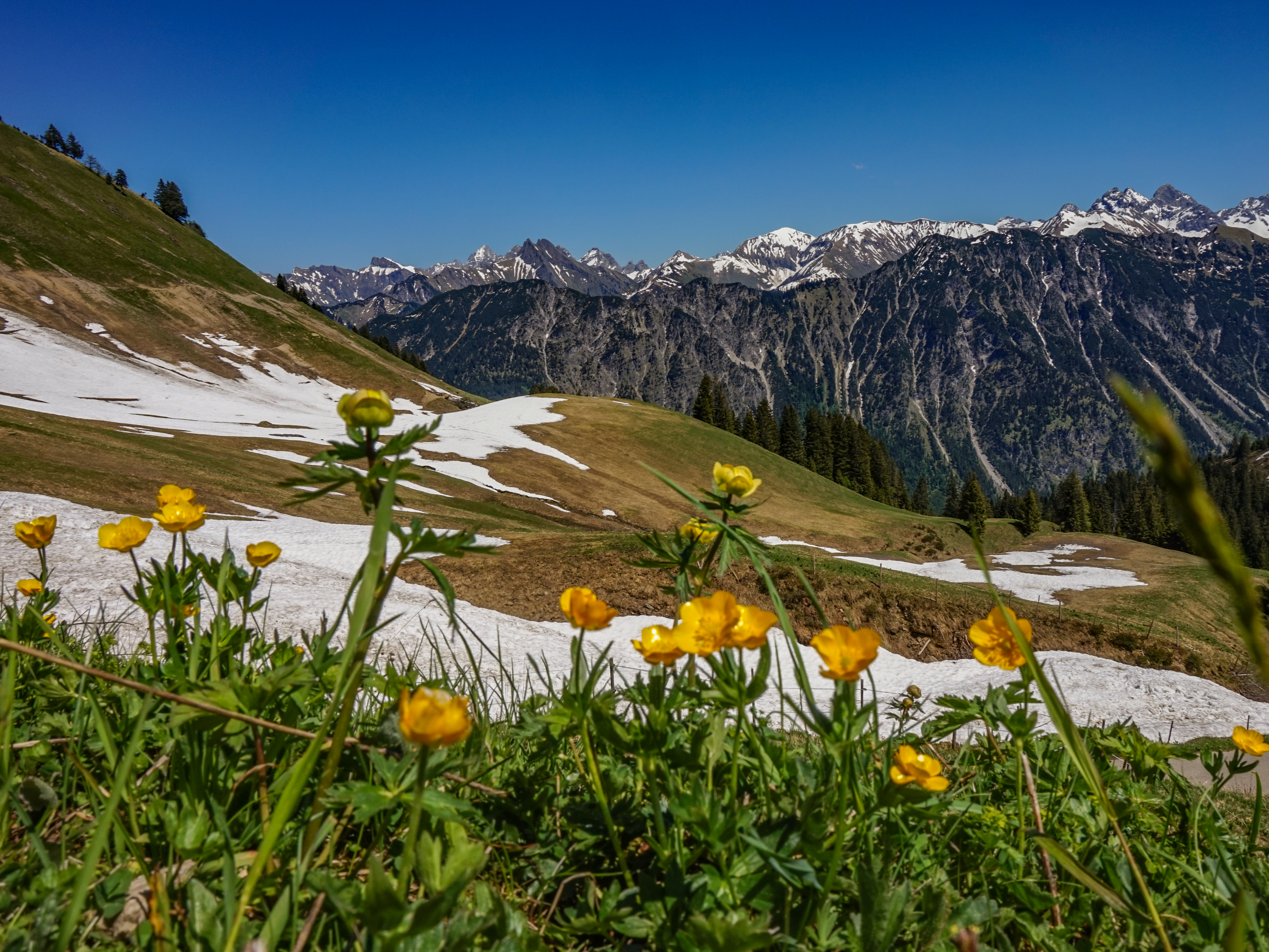 Fellhorn Bergschön Frau Oberstdorf