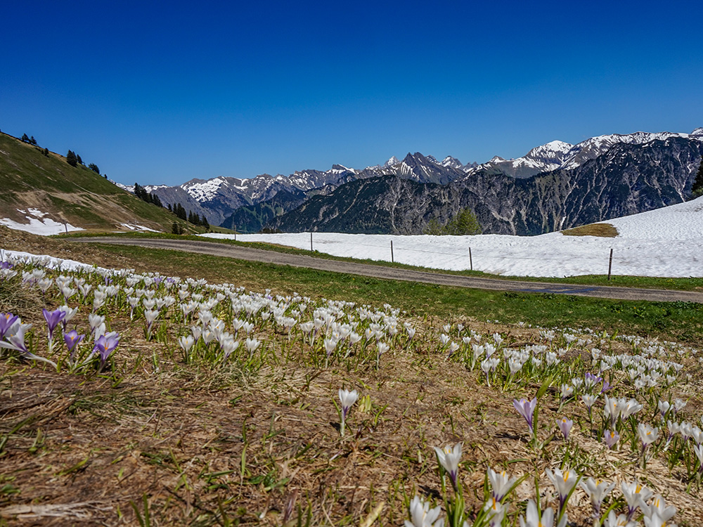 Fellhorn Bergschön Frau Oberstdorf