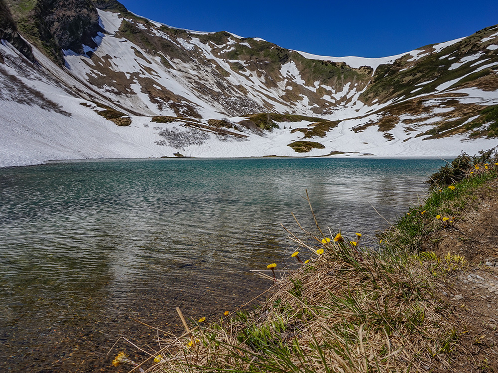 Fellhorn Bergschön Frau Oberstdorf