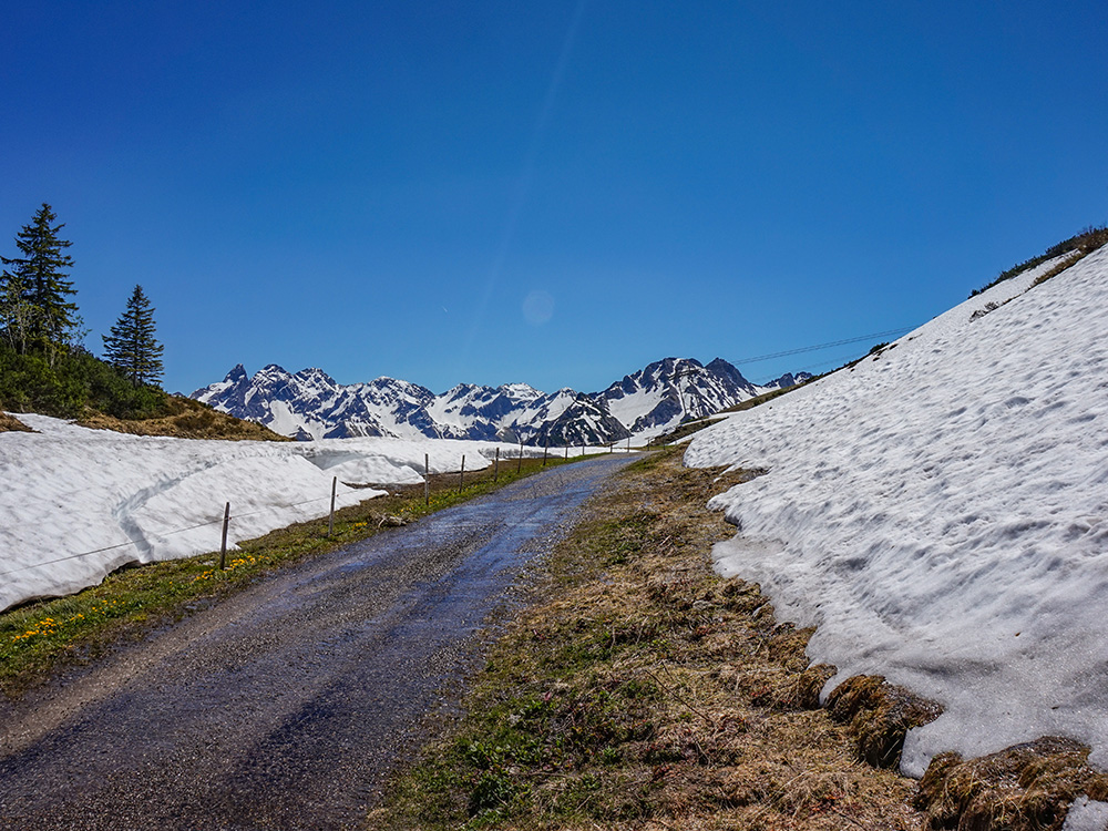 Fellhorn Bergschön Frau Oberstdorf