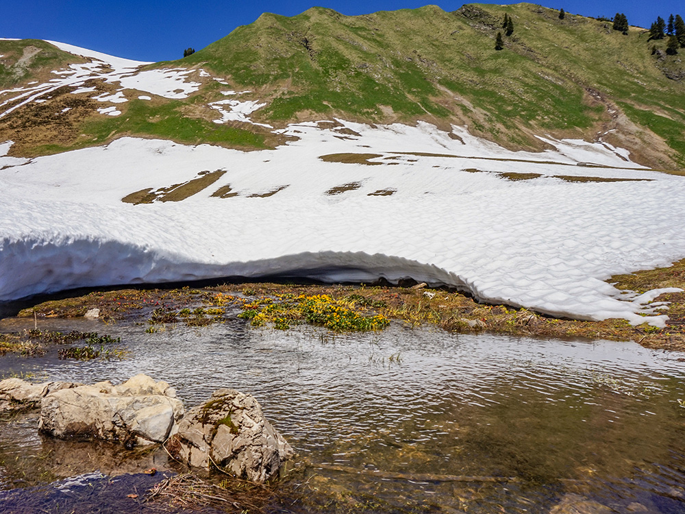 Fellhorn Bergschön Frau Oberstdorf