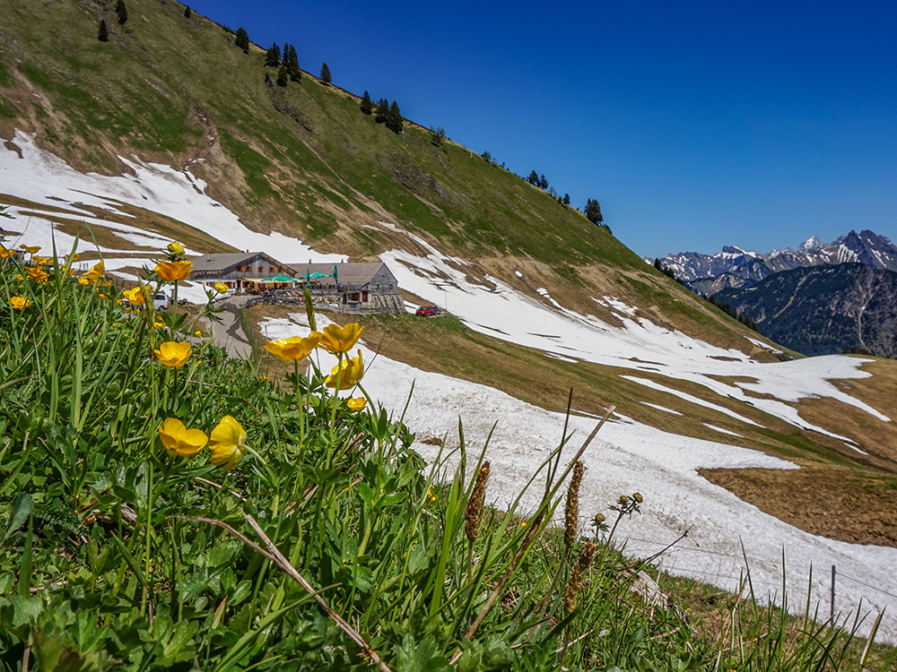 Fellhorn Bergschön Frau Oberstdorf