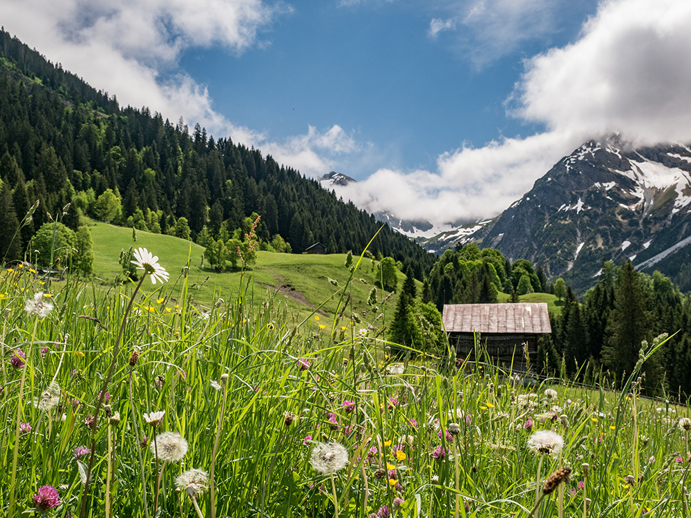 frau BErgschön Oberallgäu Fluchtalpe