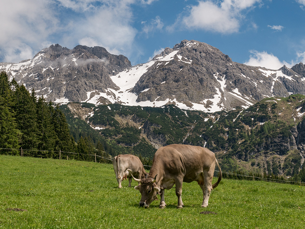 frau BErgschön Oberallgäu Fluchtalpe