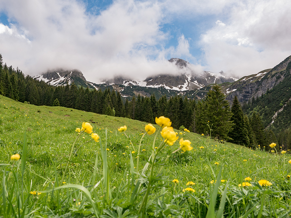 frau BErgschön Oberallgäu Fluchtalpe