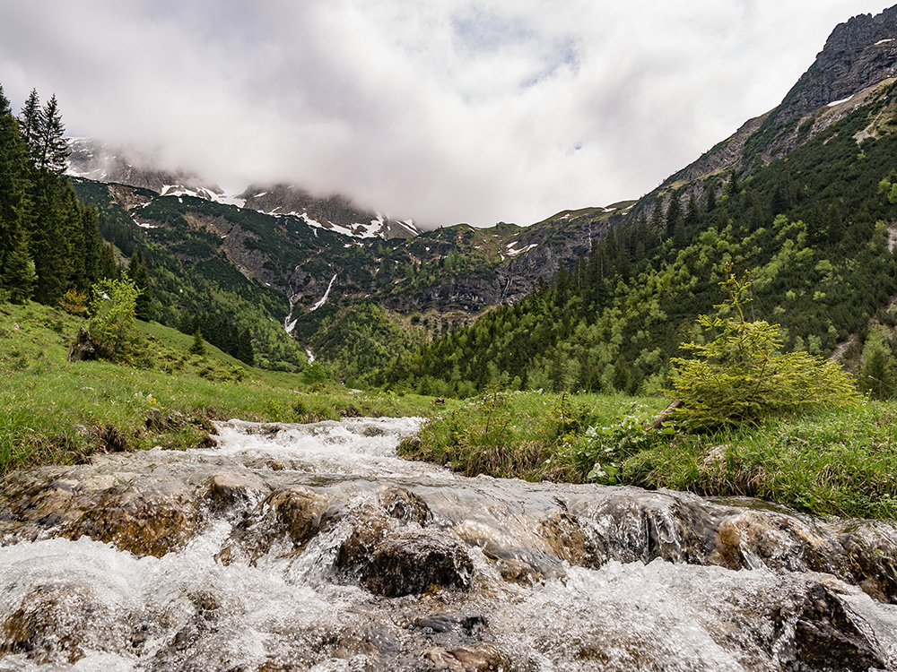 frau BErgschön Oberallgäu Fluchtalpe