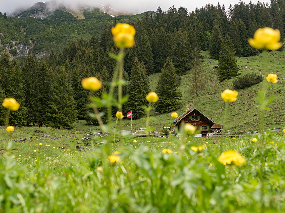 frau BErgschön Oberallgäu Fluchtalpe