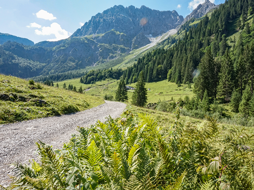 Frau Bergschön Gesmsteltal