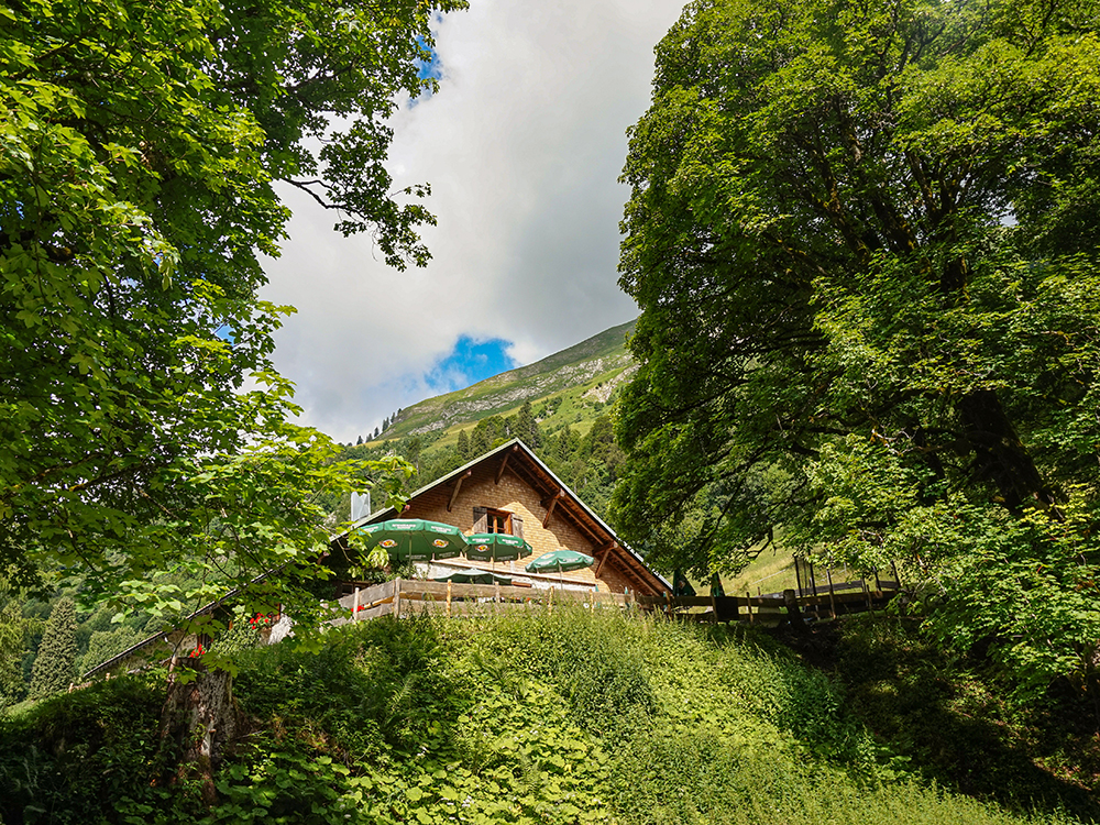 Frau Bergschön Hintersteiner Tal