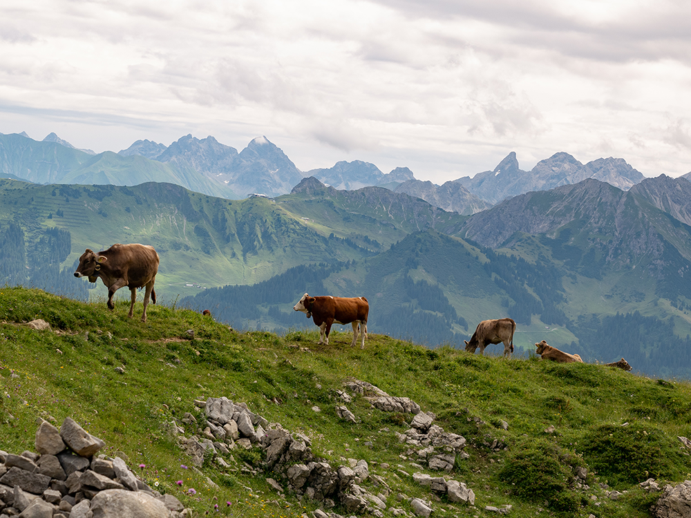 Frau Bergschön Hoher Ifen Bergtour