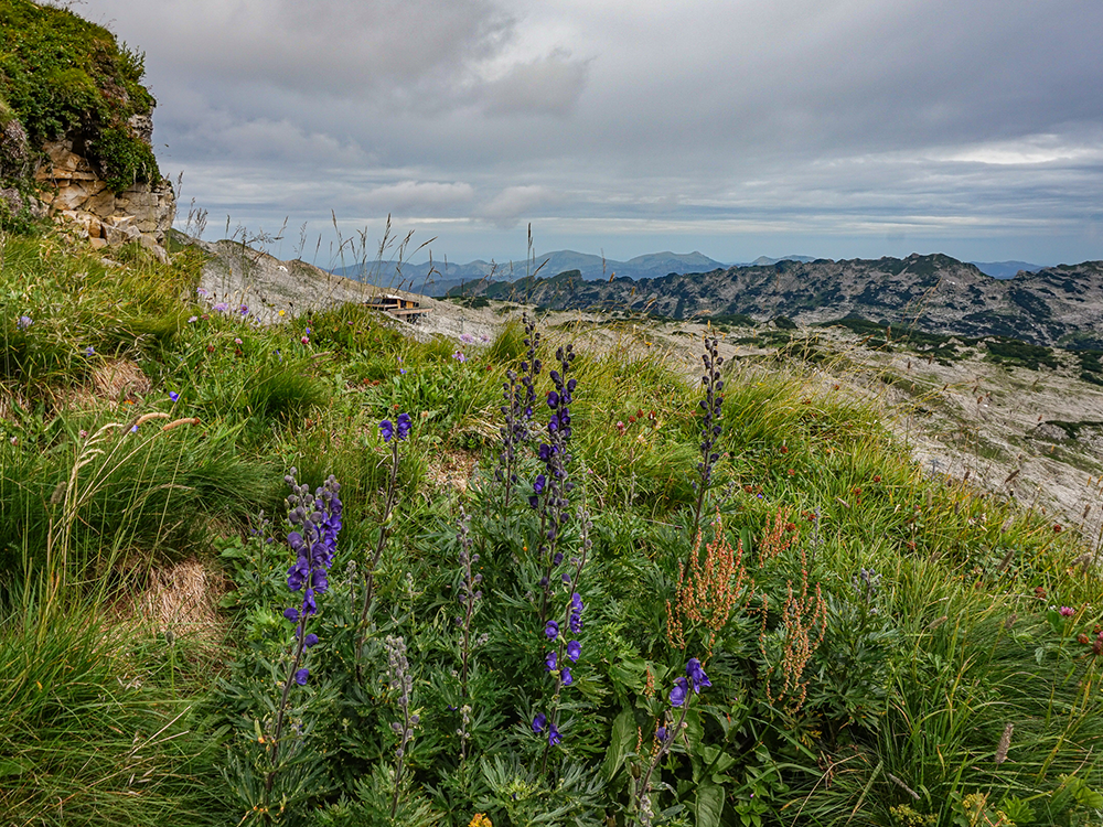 Frau Bergschön Hoher Ifen Bergtour