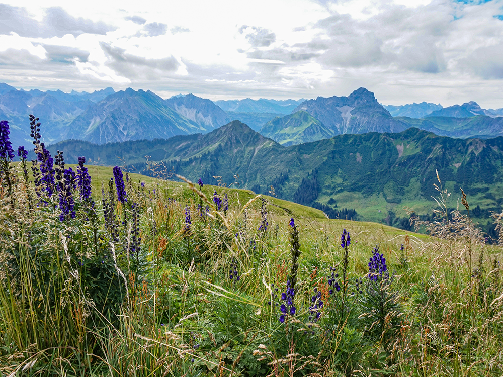 Frau Bergschön Hoher Ifen Bergtour