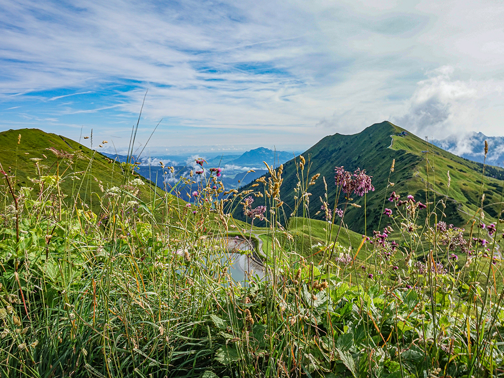 Frau Bergschön Kanzelwand Kuhgehrenalpe