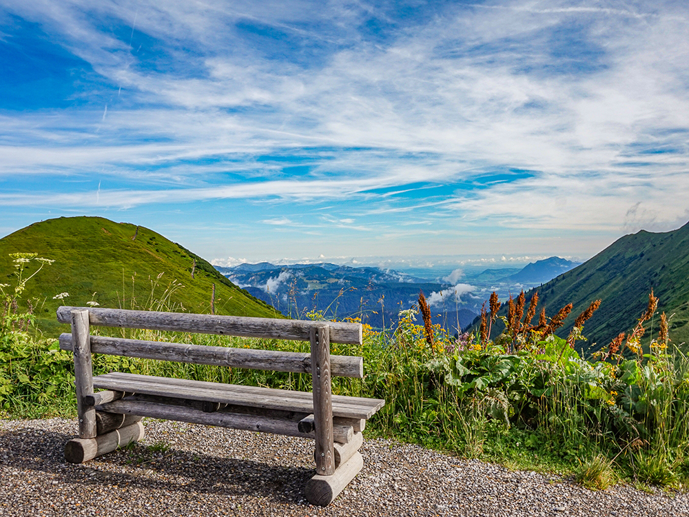 Frau Bergschön Kanzelwand Kuhgehrenalpe