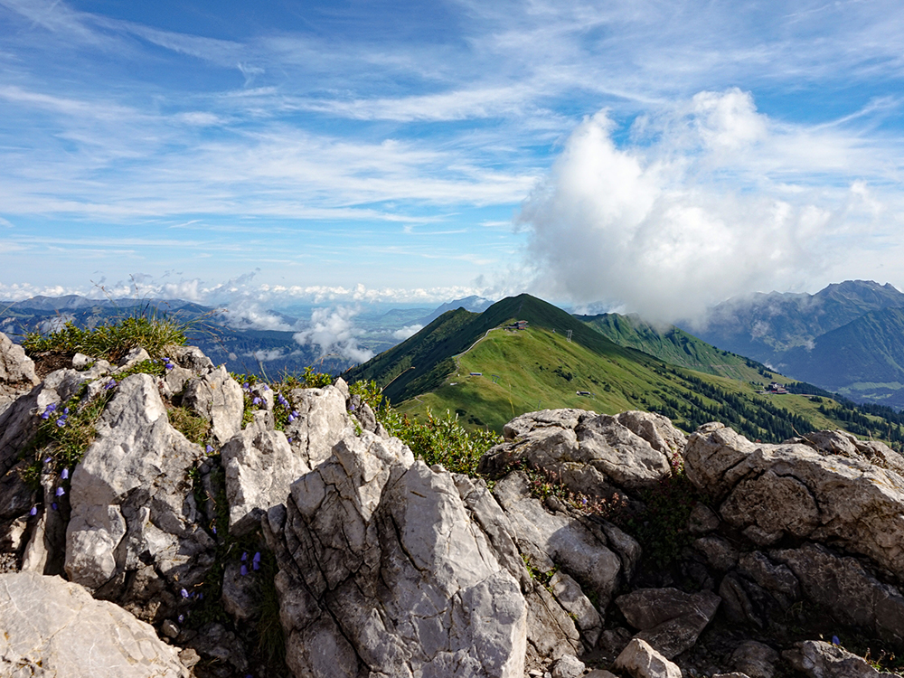 Frau Bergschön Kanzelwand Kuhgehrenalpe