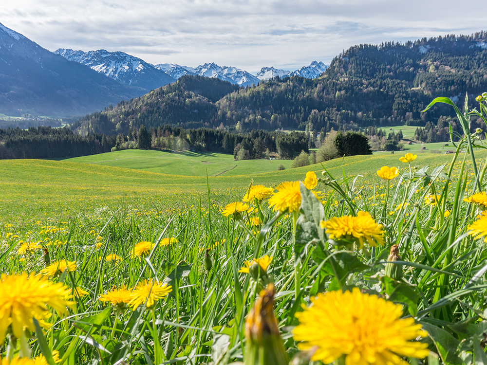 Alpsee Grünten Rottachberg Frau Bergschön Oberallgäu