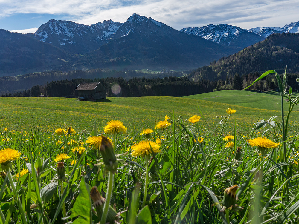 Alpsee Grünten Rottachberg Frau Bergschön Oberallgäu