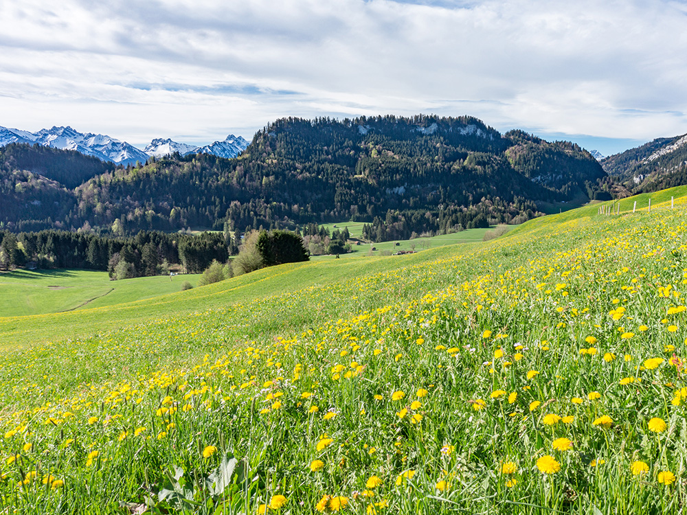 Alpsee Grünten Rottachberg Frau Bergschön Oberallgäu