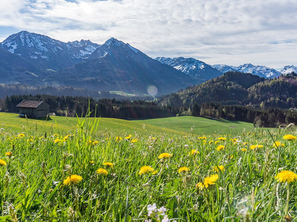 Alpsee Grünten Rottachberg Frau Bergschön Oberallgäu