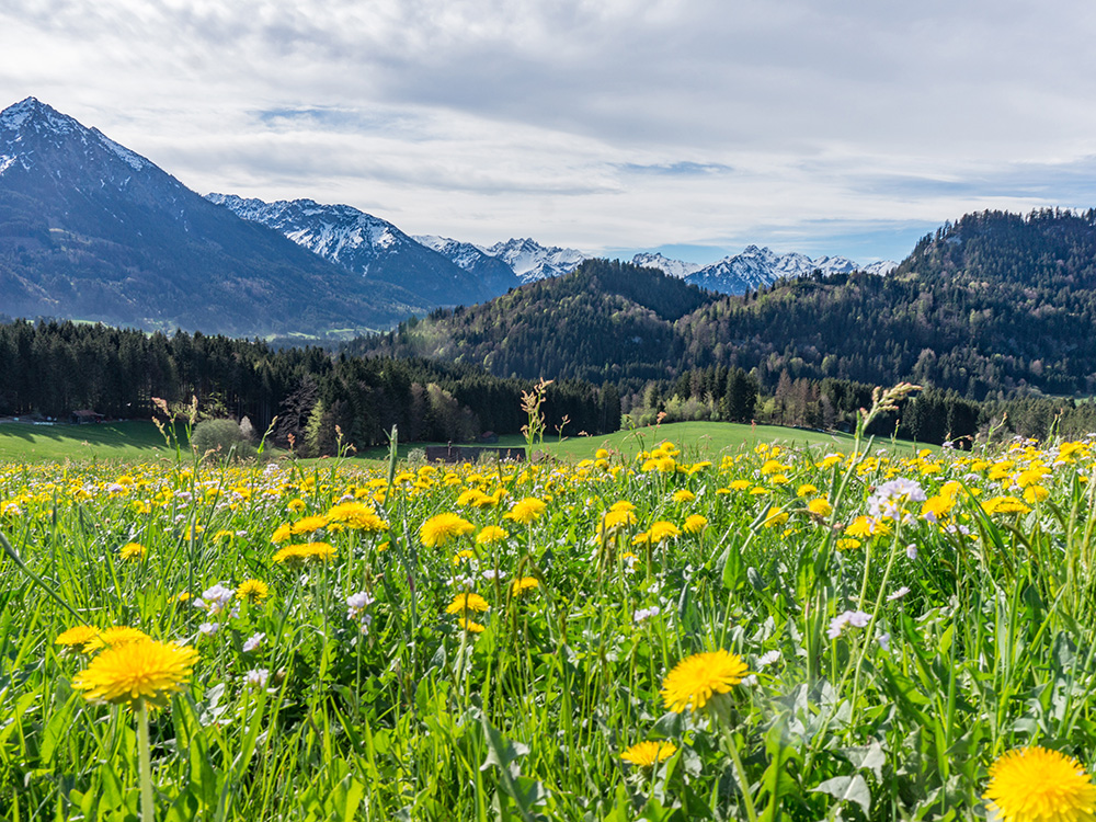 Alpsee Grünten Rottachberg Frau Bergschön Oberallgäu