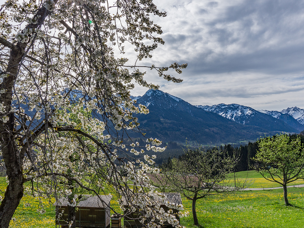 Alpsee Grünten Rottachberg Frau Bergschön Oberallgäu