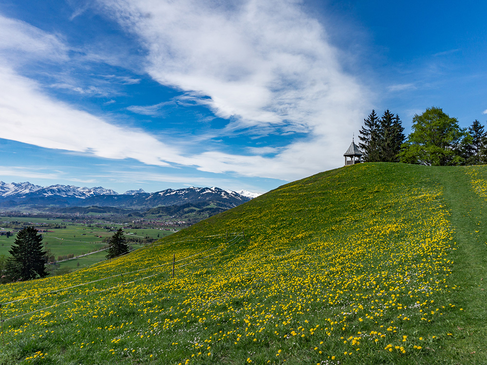 Alpsee Grünten Rottachberg Frau Bergschön Oberallgäu