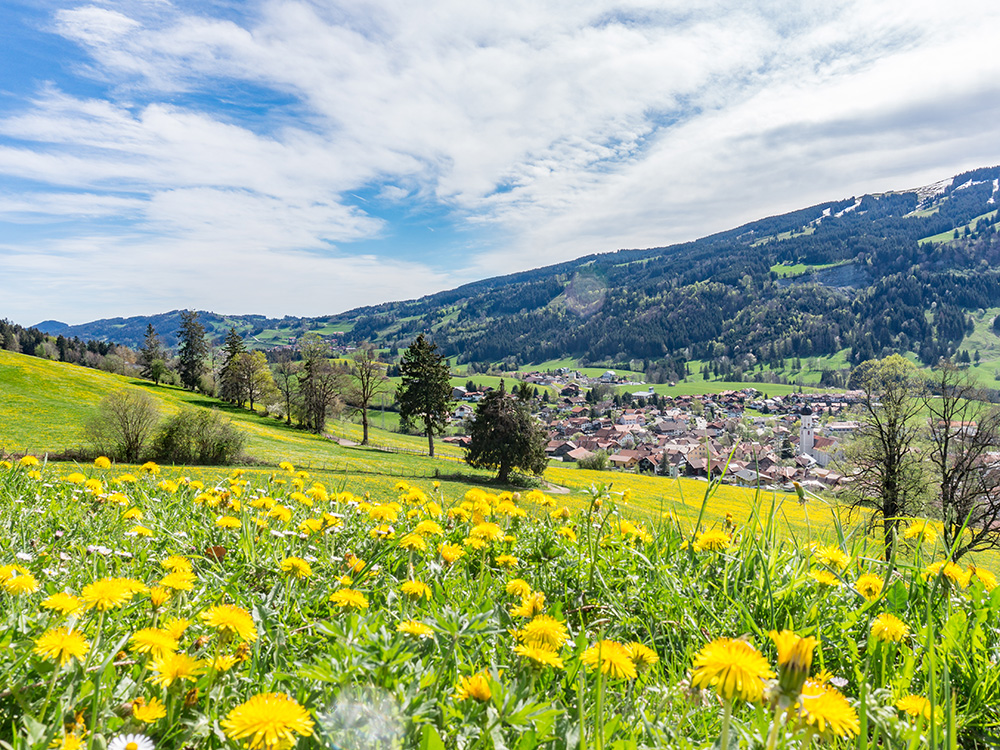 Alpsee Grünten Rottachberg Frau Bergschön Oberallgäu