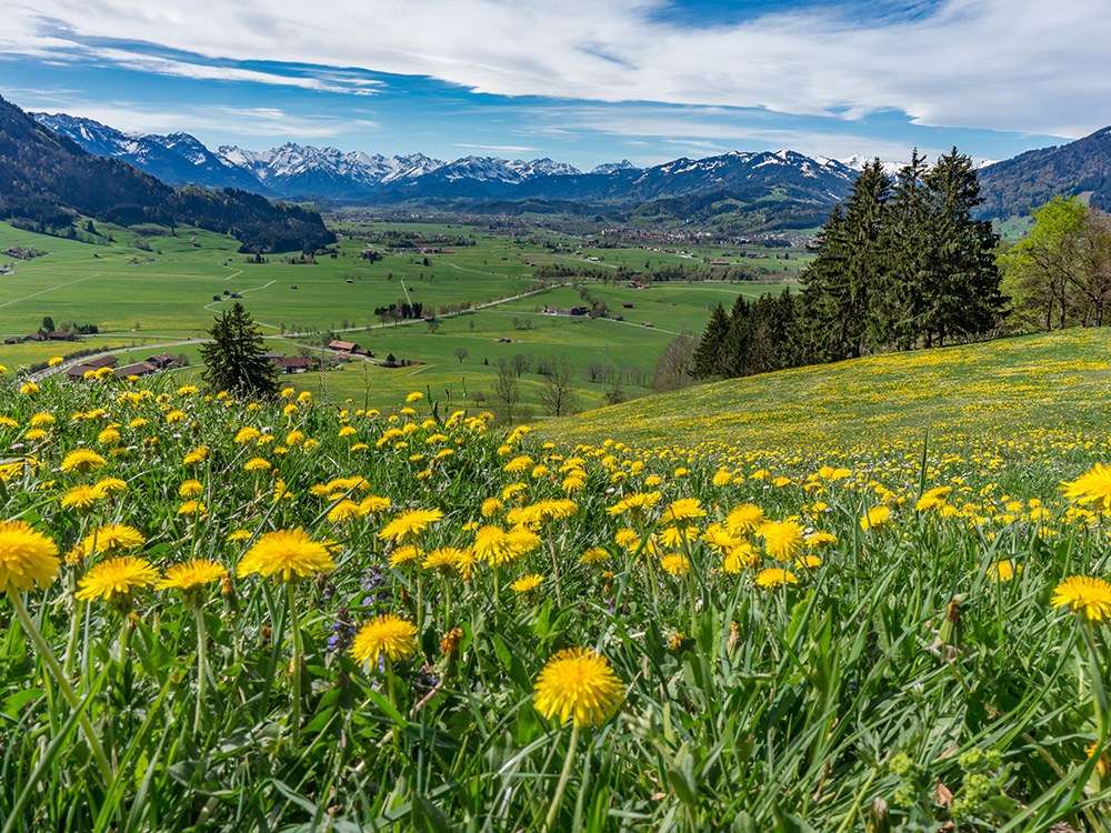 Alpsee Grünten Rottachberg Frau Bergschön Oberallgäu