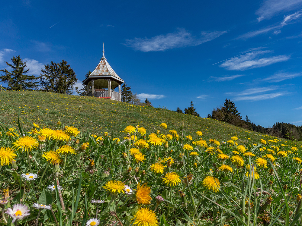 Alpsee Grünten Rottachberg Frau Bergschön Oberallgäu