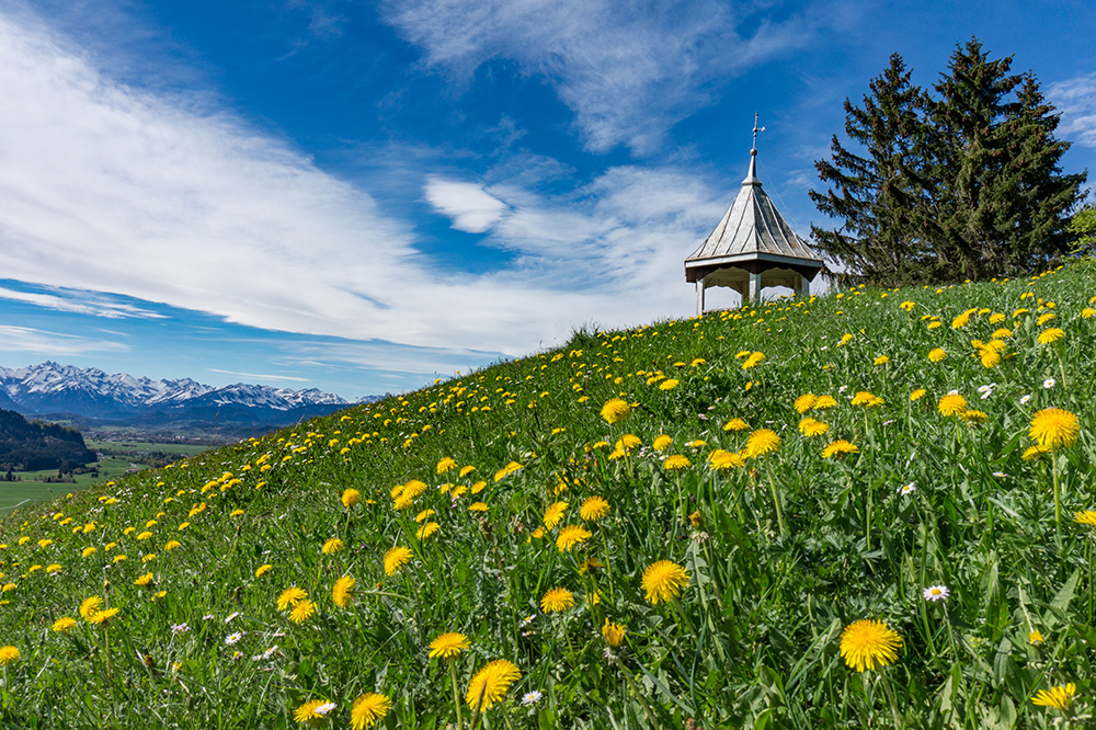 Alpsee Grünten Rottachberg Frau Bergschön Oberallgäu