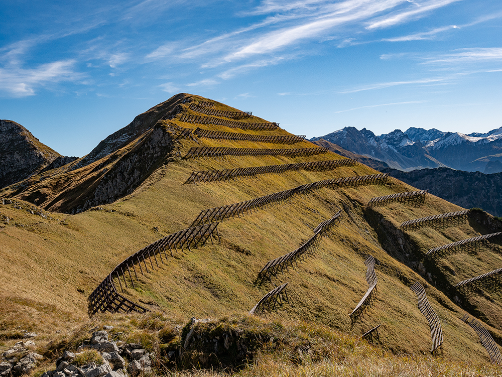 Frau Bergschön Gerstruben Andechser Natur