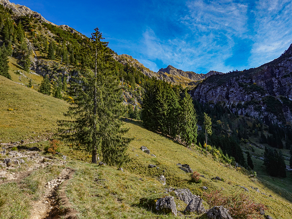 Frau Bergschön Gerstruben Andechser Natur