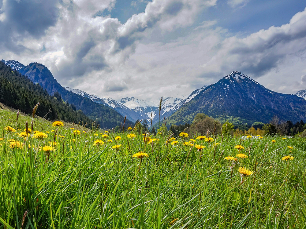 Bergschön Frau Oberstdorf Runde Sonntagstour