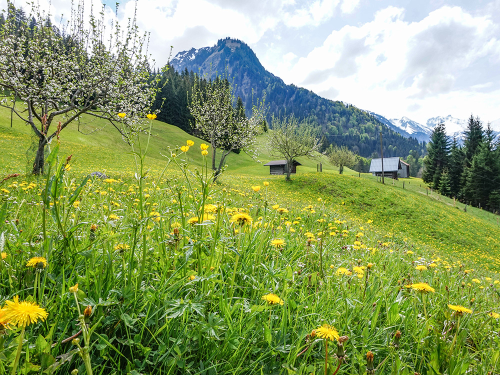 Bergschön Frau Oberstdorf Runde Sonntagstour