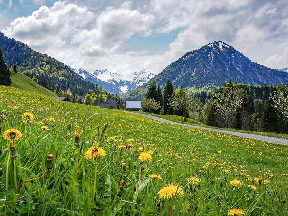 Bergschön Frau Oberstdorf Runde Sonntagstour