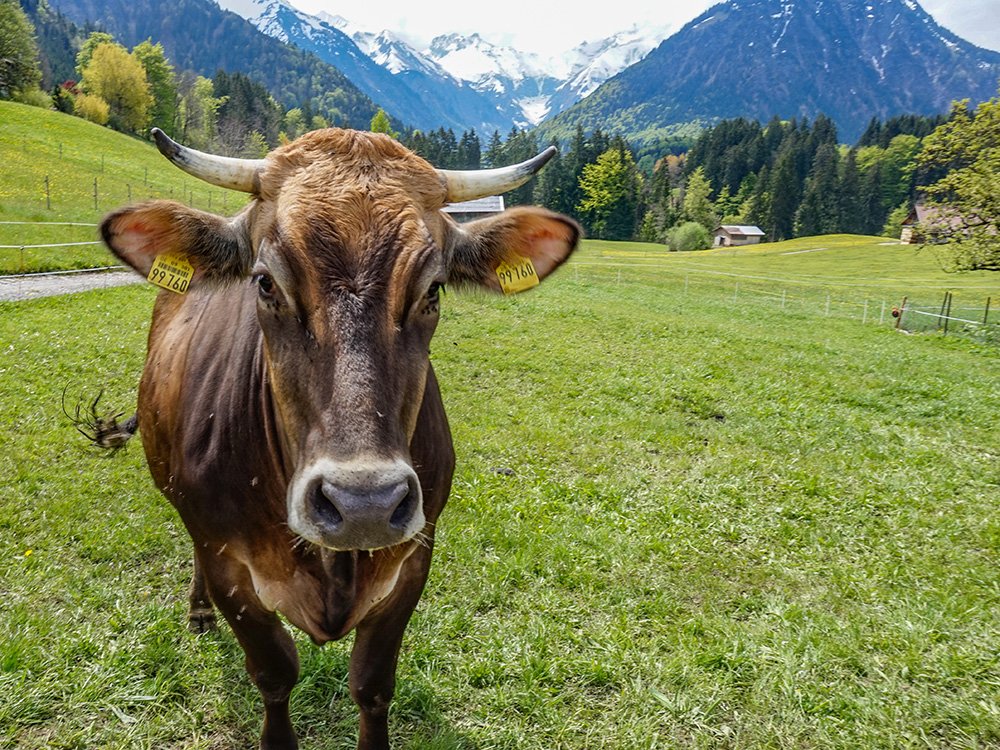 Bergschön Frau Oberstdorf Runde Sonntagstour