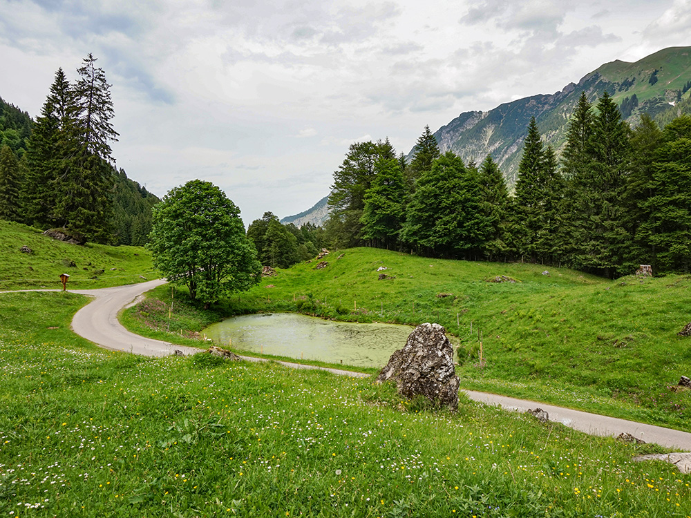 Frau Bergschön Oberallgäu Rappental Tour E-Bike Ebike EMountainbike