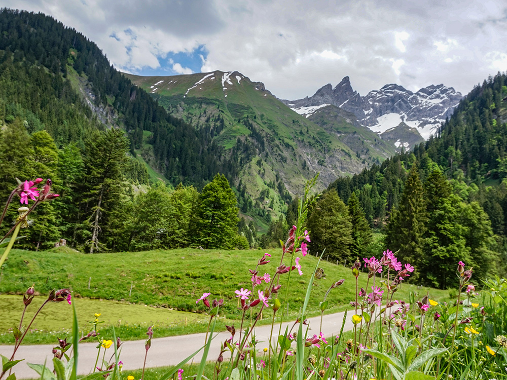 Frau Bergschön Oberallgäu Rappental Tour E-Bike Ebike EMountainbike