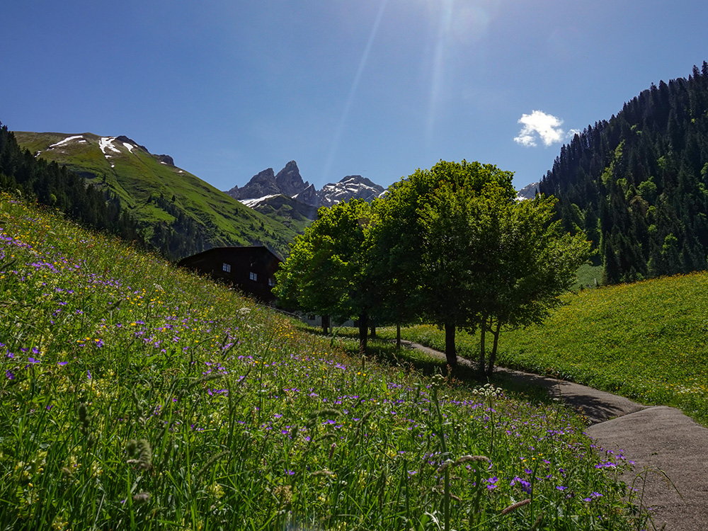 Frau Bergschön Oberallgäu Rappental Tour E-Bike Ebike EMountainbike