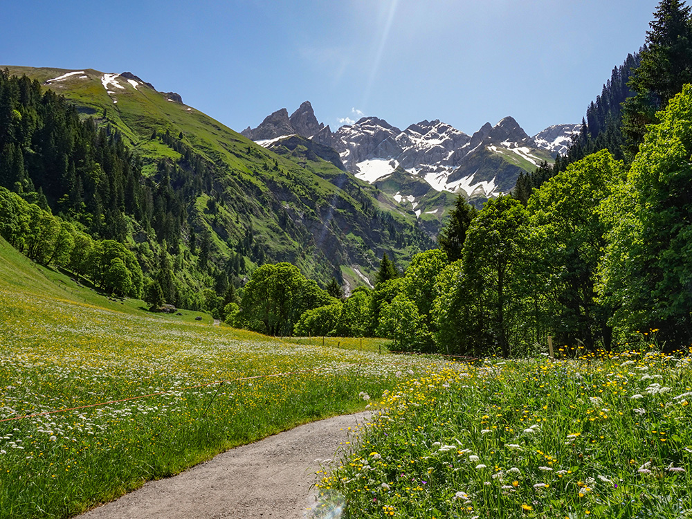 Frau Bergschön Oberallgäu Rappental Tour E-Bike Ebike EMountainbike