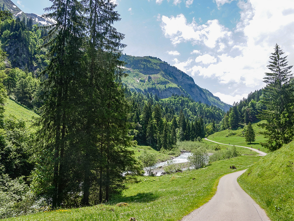 Frau Bergschön Oberallgäu Rappental Tour E-Bike Ebike EMountainbike