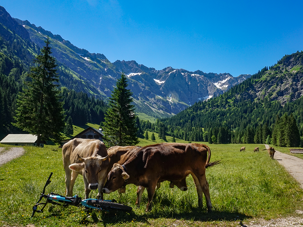 Frau Bergschön Retterschwangertal