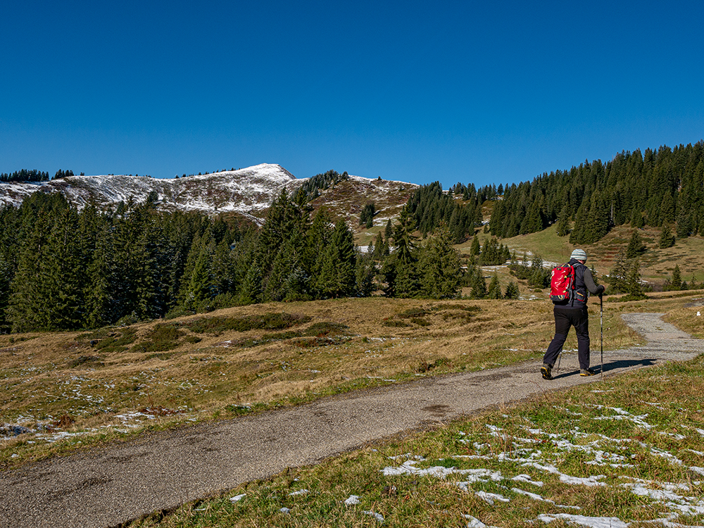 Frau Bergschön Riedberger Horn