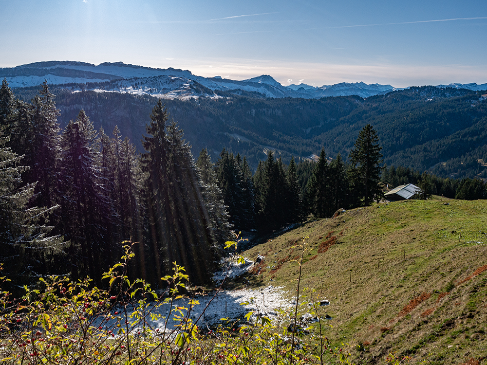 Frau Bergschön Riedberger Horn