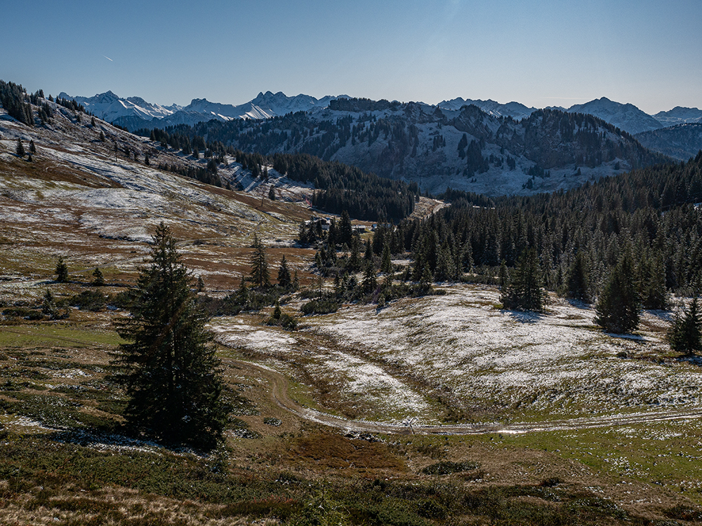 Frau Bergschön Riedberger Horn