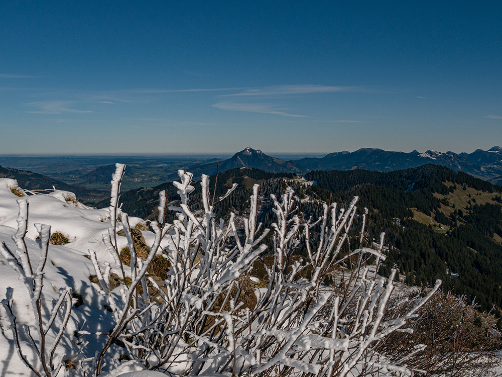 Frau Bergschön Riedberger Horn